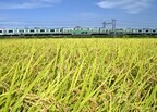 宇都宮線を走る2階建てグリーン車