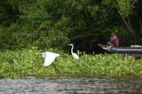 コロンビアの湿地「シエナガ・グランデ・デ・サンタ・マルタ」。多様な水鳥が生息する（写真：WWFジャパン）