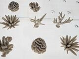 環境保全の取り組みに3Dプリンター技術が活用されている（撮影／SUUMOジャーナル編集部）