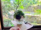 雪月花のかき氷 宇治抹茶金時（1000円）（筆者撮影）