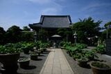 平塚市にある要法寺