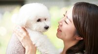 韓国の｢犬肉文化｣が今さら法律で禁止された理由