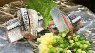 サンマが実質｢獲り放題｣のままの日本のヤバさ