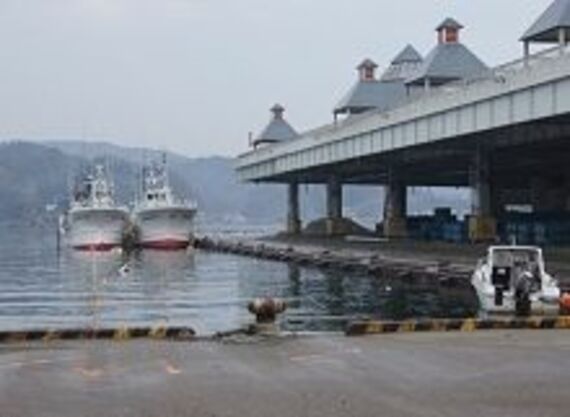 「水産特区」の是非、震災復興案を巡り対立する県と漁協
