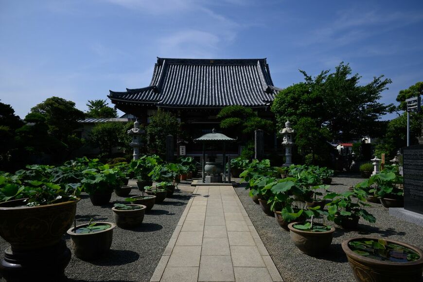 平塚市にある要法寺