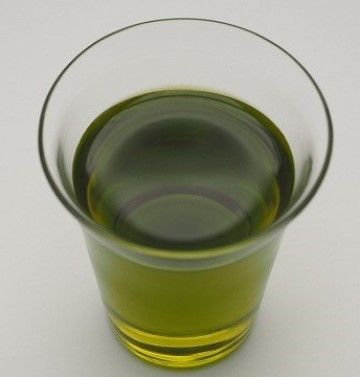 理想のオリーブオイルを作るために苗木から木を育て、収穫、搾油まですべて自分たちの手で行う（写真：山田オリーブ園）