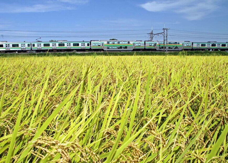 宇都宮線を走る2階建てグリーン車（撮影：南正時）