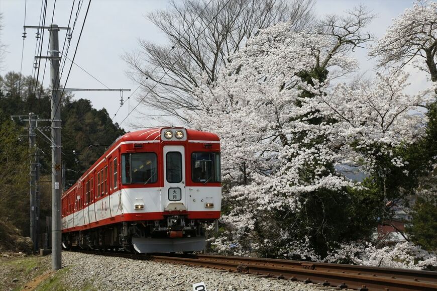 富士急の姉妹鉄道であるスイスのMGB（マッターホルン・ゴッタルド鉄道）の塗装をまとった元京王5000系（撮影：南正時）