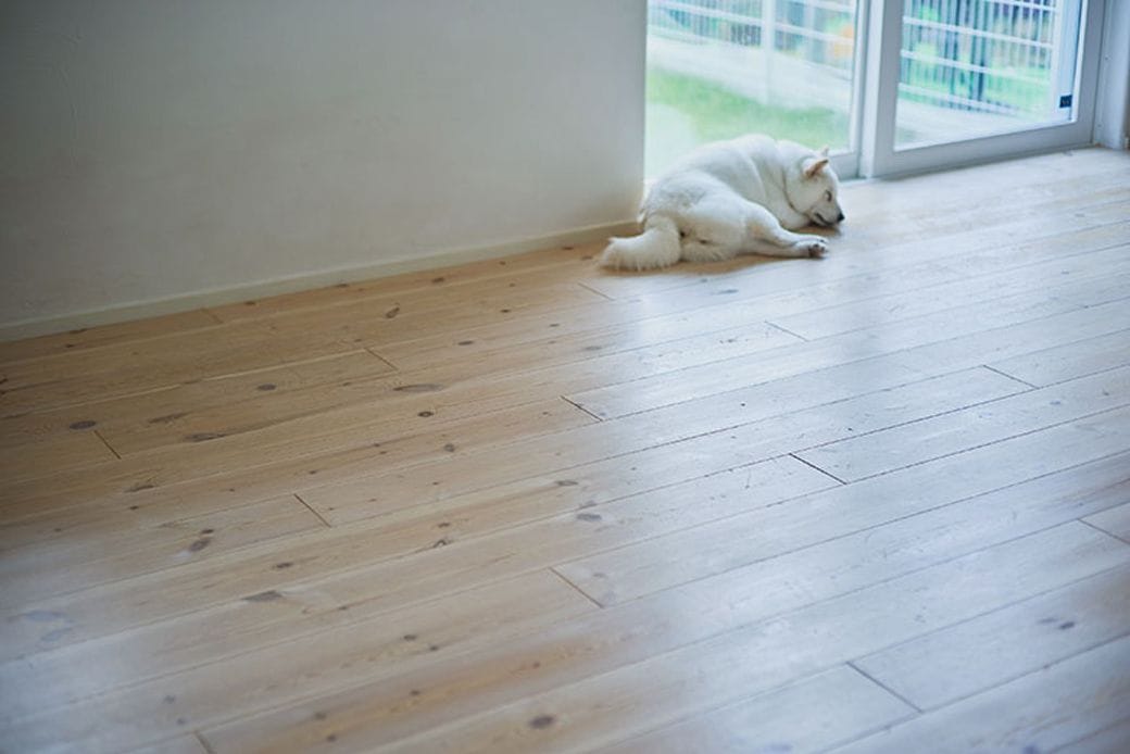 触感が柔らかくサラッとしていて冷たさがない無垢材の床は、寝そべっていても気持ちが良さそう（写真撮影：相馬ミナ）