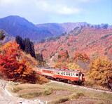 キハ16形を先頭に紅葉の米坂線を走る列車（撮影：南正時）