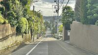 ｢崖上で水害の心配なし｣｢坂だらけで23区内なのに車必須？｣…世田谷区にある｢代々のお金持ちがひっそり住む街｣の実態
