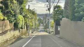 ｢崖上で水害の心配なし｣｢坂だらけで23区内なのに車必須？｣…世田谷区にある｢代々のお金持ちがひっそり住む街｣の実態