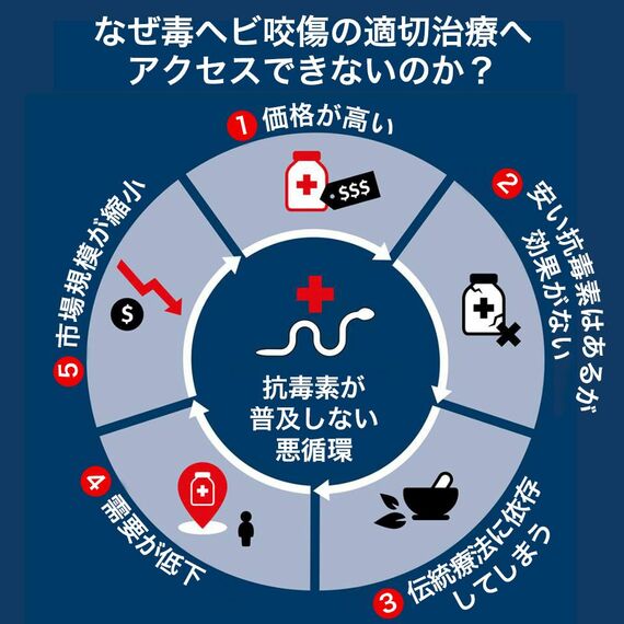 適切な抗毒素へのアクセスを妨げる悪循環