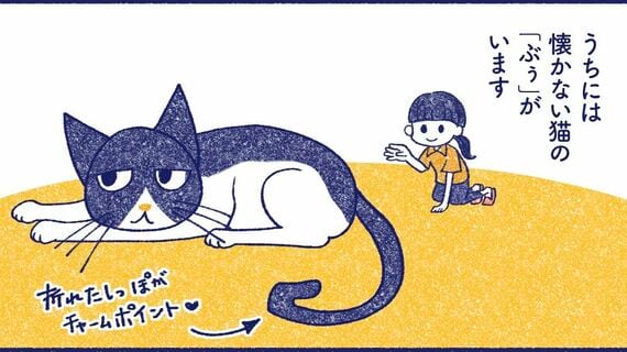 懐かない猫のぶうちゃん