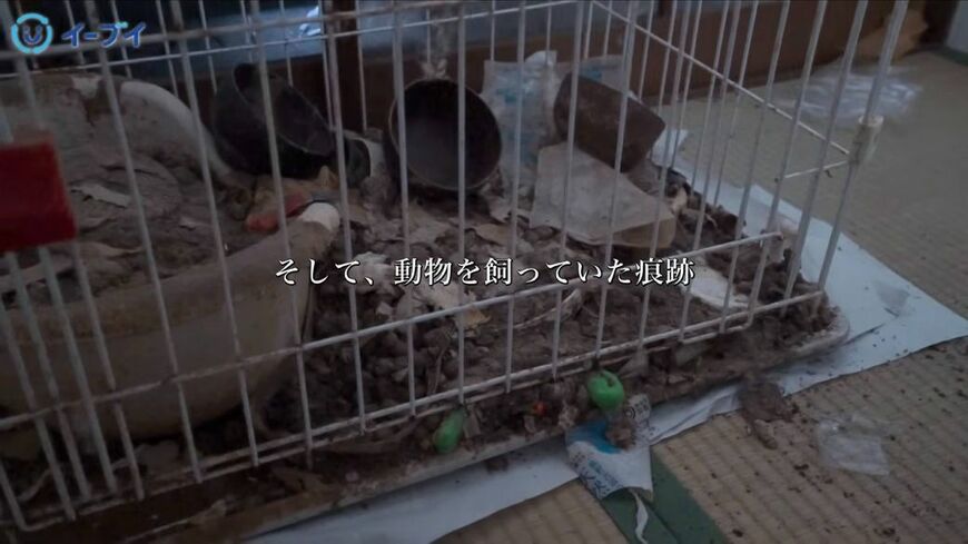 2室を連結させたような作りのメゾネットタイプのアパート。中に入ると……（「（画像：「イーブイ片付けチャンネル」より」）