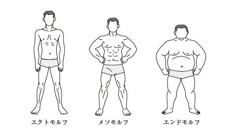 3つのボディー・タイプ