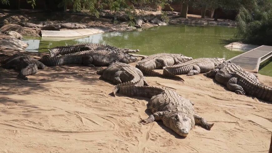 （写真：大和書房提供）