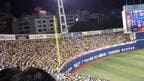 3塁側を埋め尽くした阪神ファン