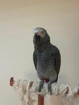 （写真提供：カマタさん）