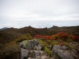 赤く色づく樹々が美しい。運が良ければ雲海も見れる（筆者撮影）