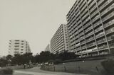 埼玉・志木ニュータウン（写真：1988年07月22日、堀口撮影）