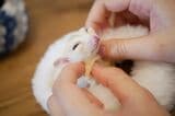 （写真提供：ひろさん）