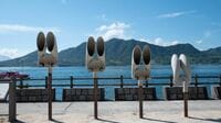年間20万人が押し寄せる｢うさぎの島｣なのになぜ地元は潤わないのか…"素通り"から"滞在"へ､廃墟の島と玄関口の挑戦