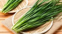 暑さ疲れ防ぐ｢にら｣薬剤師が教えるの料理のコツ