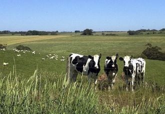 豪州がアジアの｢食ブーム｣に熱視線