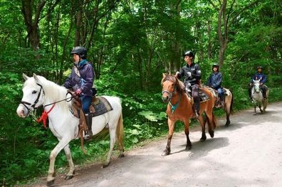 Japan Erupts in Anger Over Boy Abandoned in Forest After Being Naughty