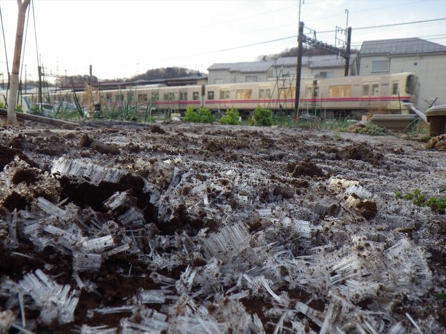 冬、早朝の百草園付近。畑の霜柱と9000系（撮影：南正時）