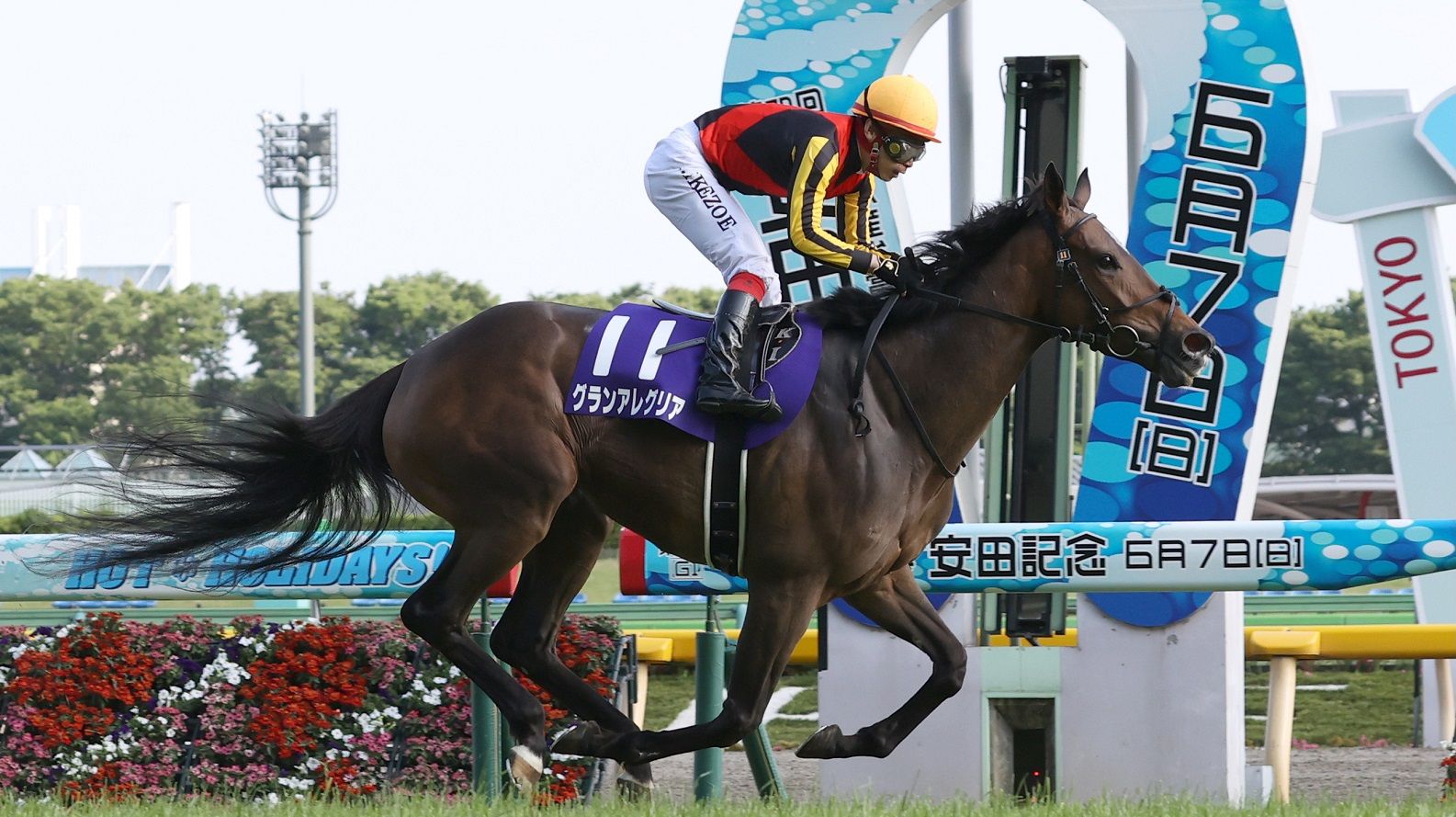 無観客の競馬 がこんなにも盛り上がった要因 今さら聞けない競馬のキホン 東洋経済オンライン 社会をよくする経済ニュース