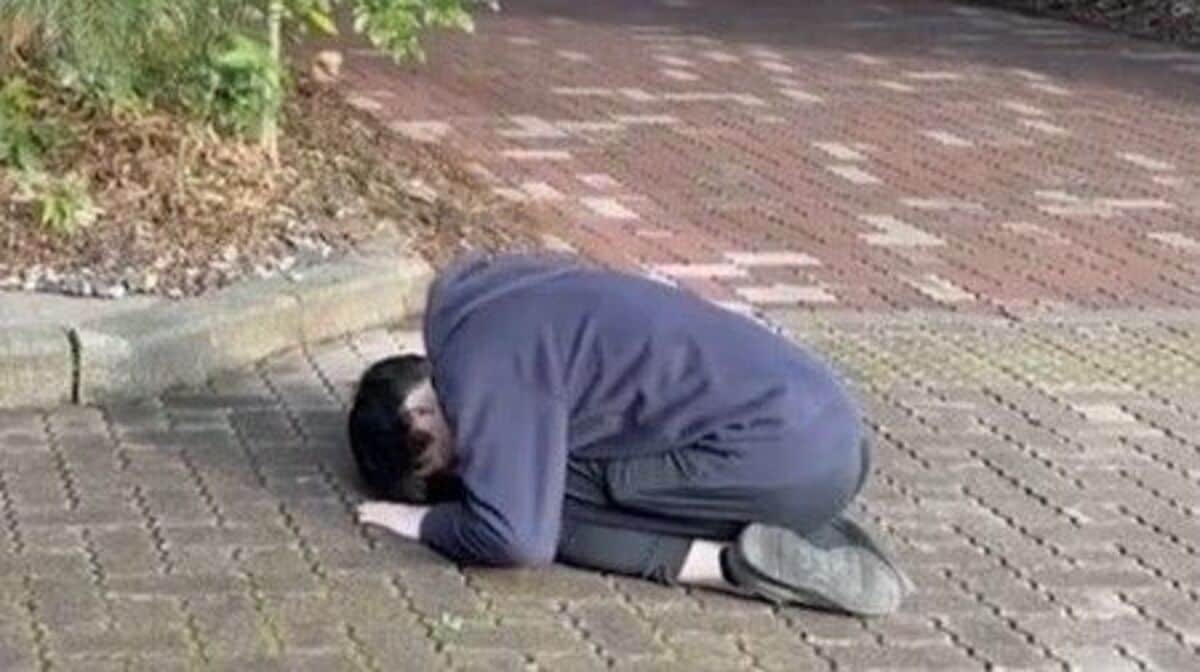 記事のテキストが必要です