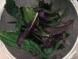 はんだま。沖縄や奄美でもよく食べられている野菜。石川の方では「金時草」として知られている（筆者撮影）