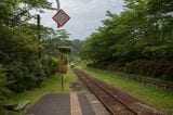 森の奥へに消えていくような列車（筆者撮影）