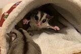 （写真：ひろさん提供）