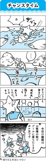 水族館飼育員のただならぬ裏側案内