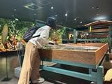 施設内ではカカオの栽培からチョコレート製品の製造まで視覚的かつ体験的に理解できる工夫が随所に凝らされており、子どもから大人まで楽しく触れることができる（写真：筆者撮影）