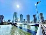 辰巳側から見える東雲のタワマン群（筆者撮影）