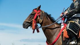 死者2500人超の凄惨な《姉川の戦い》で信長を喜ばせた家康の武功
