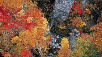 5 Must-See Spots for Fall Leaves in Tohoku