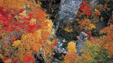 5 Must-See Spots for Fall Leaves in Tohoku