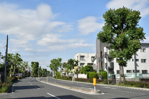 阪神 甲子園線跡 甲子園筋