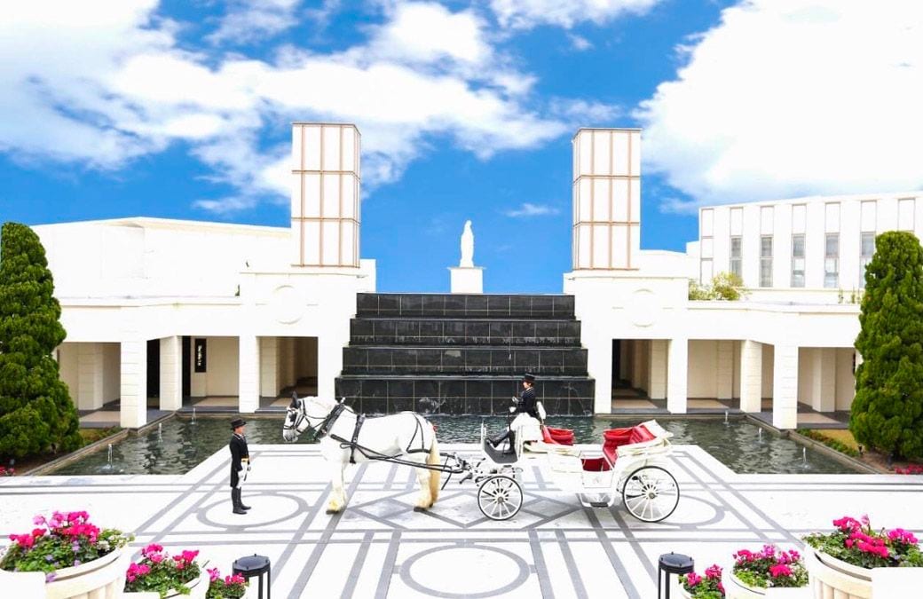 ノートルダムにて