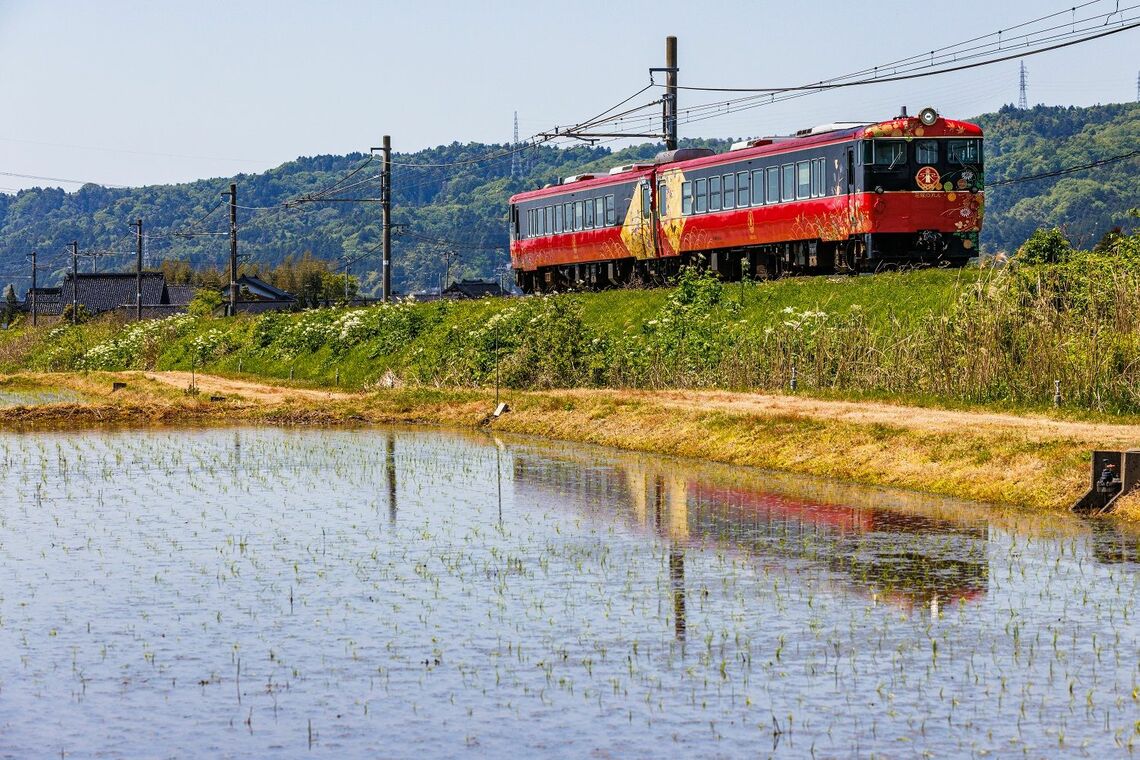 七尾線を走る観光列車「花嫁のれん」。金沢―津幡間はIRいしかわ鉄道乗り入れの形をとる（撮影：鼠入昌史）