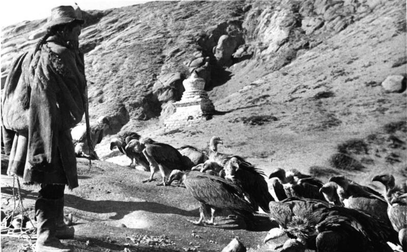 1938年に撮影されたチベットの鳥葬