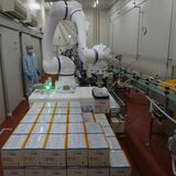 湯田牛公社は冷蔵庫内の1台に続き、箱詰め室内での作業に2台のロボットを導入した（記者撮影）