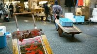 あと半年で閉鎖､｢築地市場｣に行くべき理由 ｢人より魚がエライまち｣の懐は実に広かった