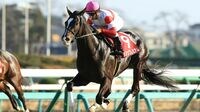 春競馬開幕｢クラシックレース｣の楽しみ方 国内クラシックは他レースと何が違うのか