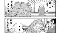 小鳥が脱走して「強面の猫」に会いに行ったワケ